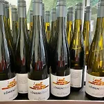 Ferienweingut Matthias Loewen 아파트