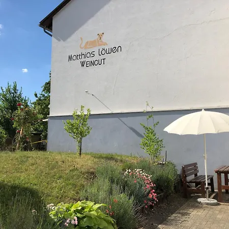 Ferienweingut Matthias Loewen 公寓 Detzem