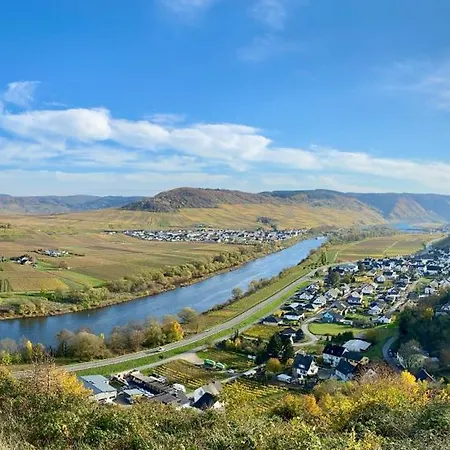 Ferienweingut Matthias Loewen *