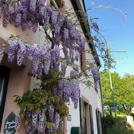 Ferienweingut Matthias Loewen * Detzem