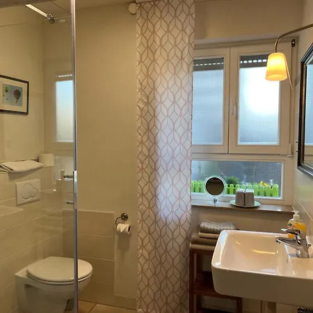 Ferienweingut Matthias Loewen 公寓 Detzem