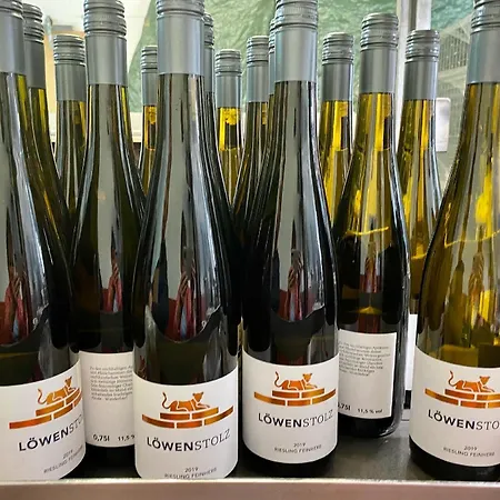 Ferienweingut Matthias Loewen 公寓