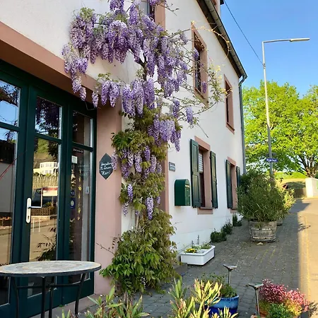 Ferienweingut Matthias Loewen 公寓 Detzem