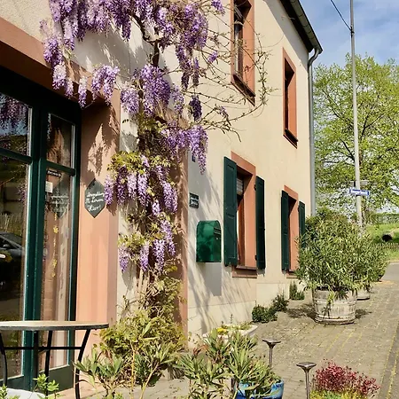 Ferienweingut Matthias Loewen *