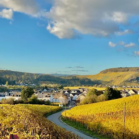 Ferienweingut Matthias Loewen 公寓