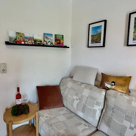 公寓 Ferienweingut Matthias Loewen *