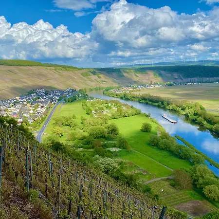 Ferienweingut Matthias Loewen 公寓 Detzem