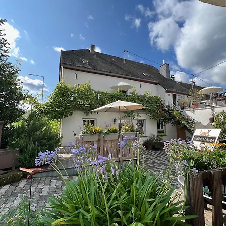 Apartamento Ferienweingut Matthias Loewen *