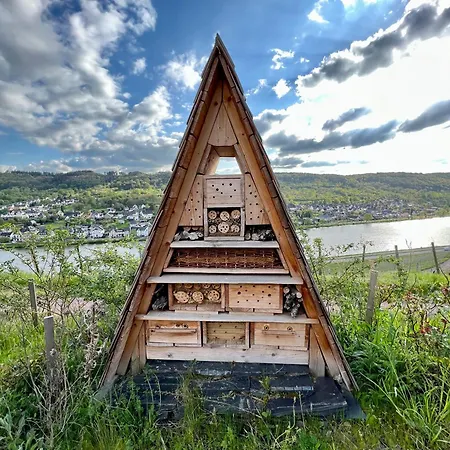 公寓 Ferienweingut Matthias Loewen *