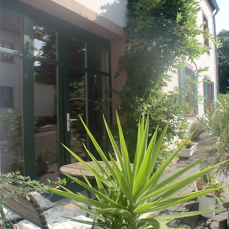 Ferienweingut Matthias Loewen 公寓 *