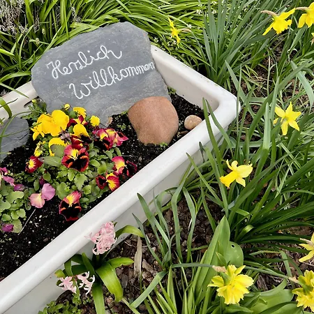 Ferienweingut Matthias Loewen * Detzem