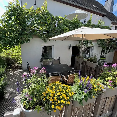 Ferienweingut Matthias Loewen * Detzem