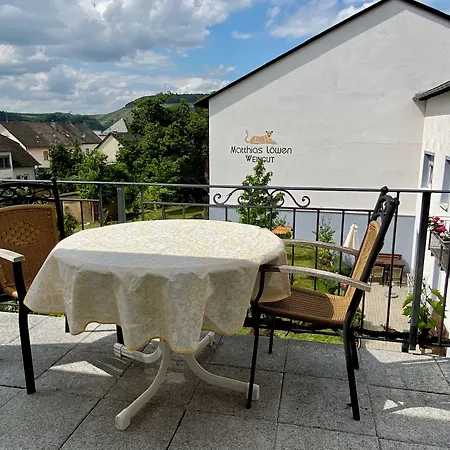 Ferienweingut Matthias Loewen 公寓 Detzem