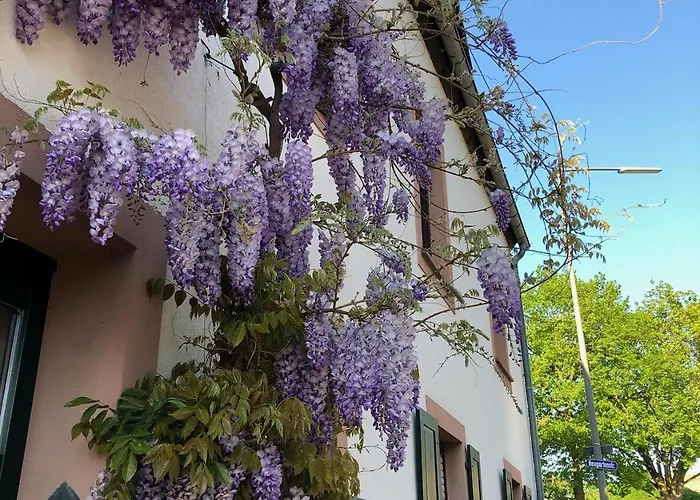 Ferienweingut Matthias Loewen * Detzem