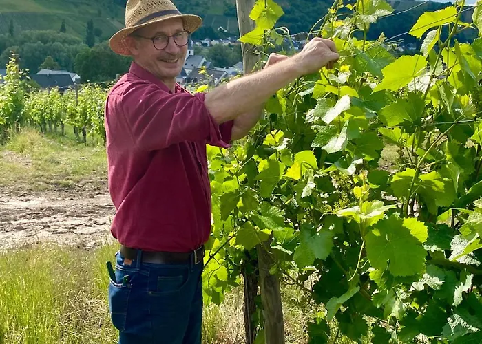 Ferienweingut Matthias Loewen * Detzem