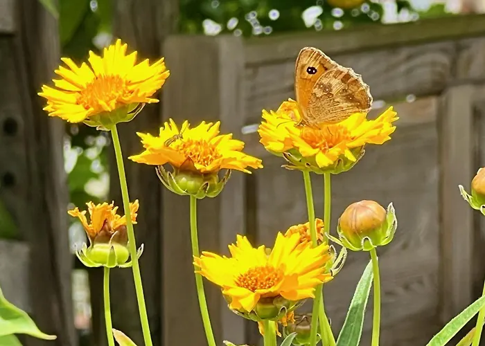 Ferienweingut Matthias Loewen Lägenhet
