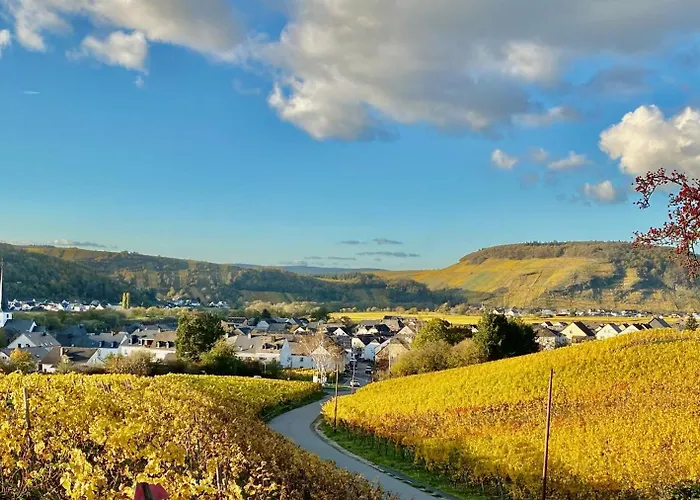 Ferienweingut Matthias Loewen Lägenhet