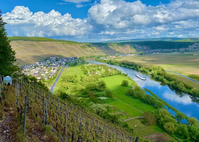 Ferienweingut Matthias Loewen Lägenhet Detzem