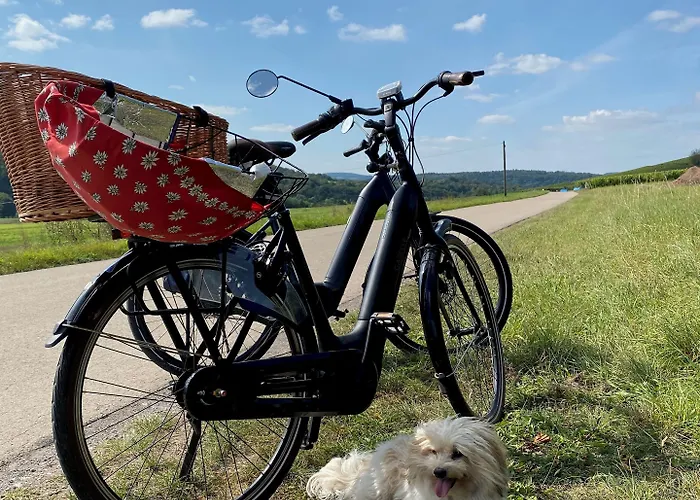 Ferienweingut Matthias Loewen Lägenhet *
